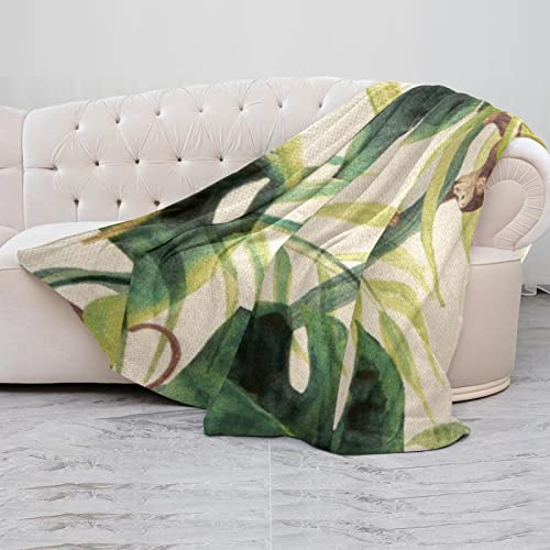 Couverture microfibre singe 150x200 cm pour lit et canapé - 5