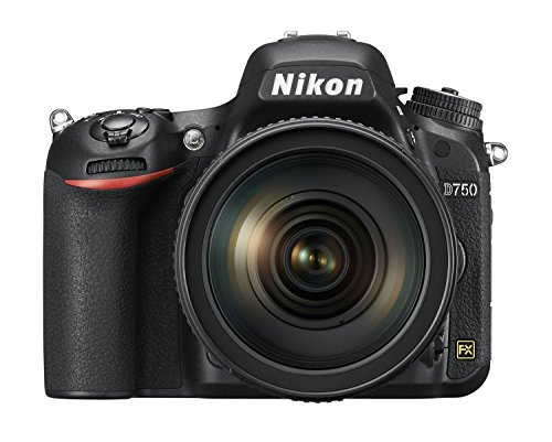Nikon D750 cámara réflex 24.3 Mp negro solo cuerpo - Fernando Cortés