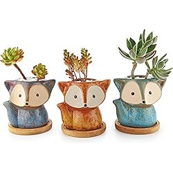 Maceteros Medianos T4u Macetas para Cactus de Cerámica con Plato de Paquete de 3, Zorro Pequeña Maceteros Pequeños para Suculento Plantas Casa y Jardin Boda Decorativos Interior