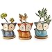 T4U Vasetti per Piantine Ceramica con Vassoio di Set di 3, Piccola Vasi in Ceramica per Piante Grasse da Interno Volpe Vasi Cactus per Succulente Piccoli