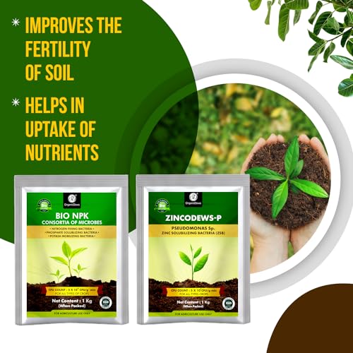 Image of OrganicDews Bio NPK Consortia + Zinc Solublizing Bacteria 1 Kg Combo Inoculum Fertilizer for Plants - Soil Fertility, Faster Plant Growth and Increases the Yield