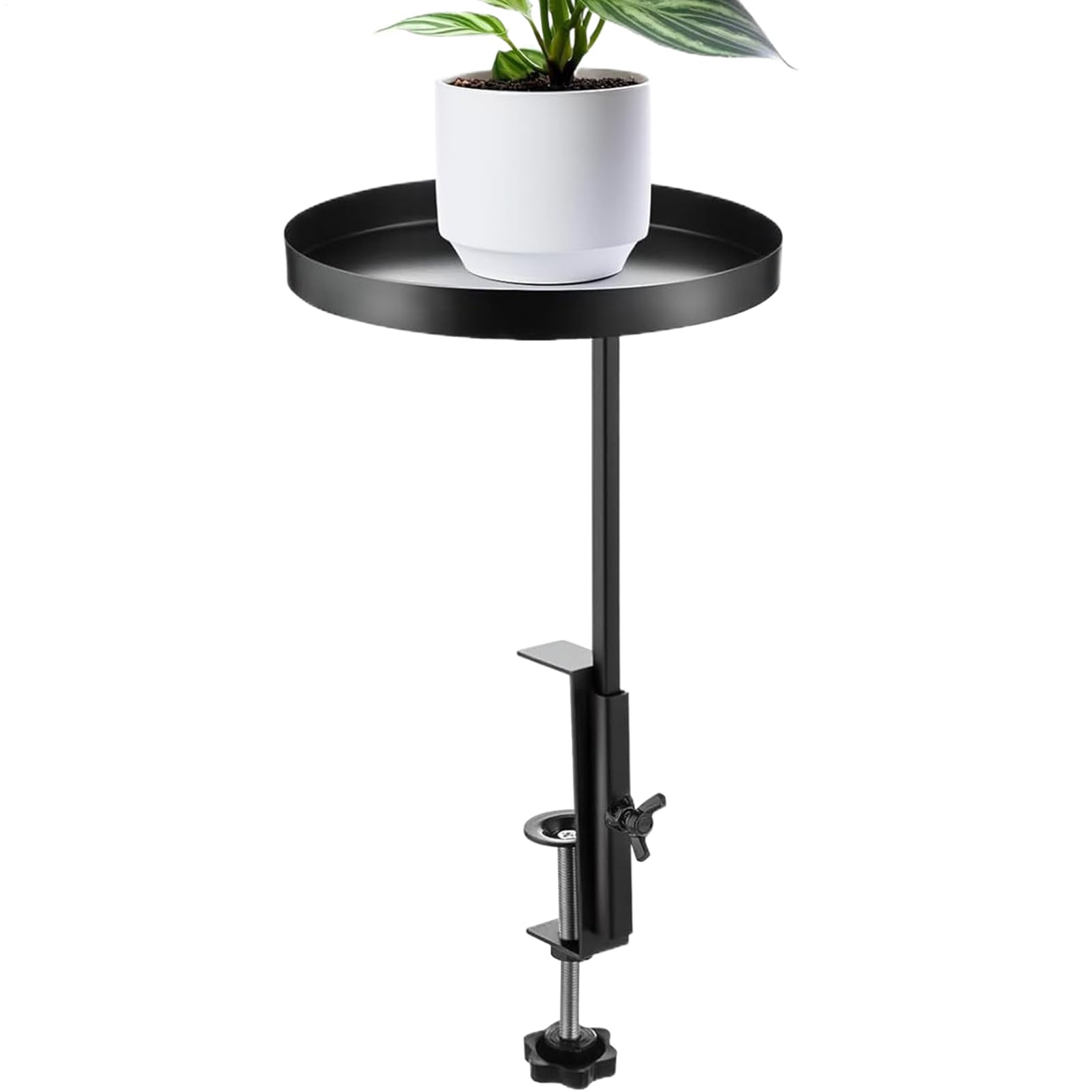 Support mural métal haut de gamme et étagère de fenêtre design pour plantes