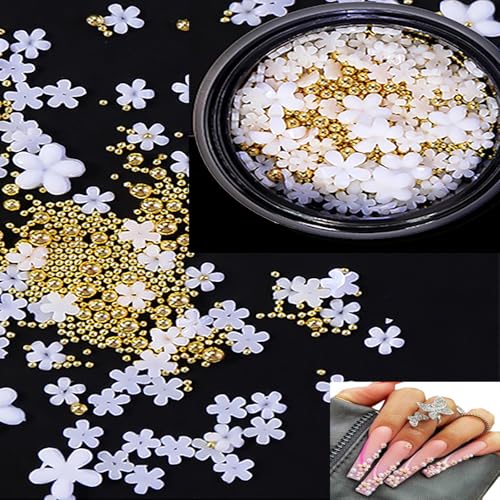 LUYING ネイルパーツ 花 3Dさい 可愛い 立体 セット ネイルアート 白 花パーツ ジェルネイル ネ ハンドメイド レジンパーツ 約100個セットネイルフラワー レジン ブリオン ゴールデンビーズ（Amazon）
