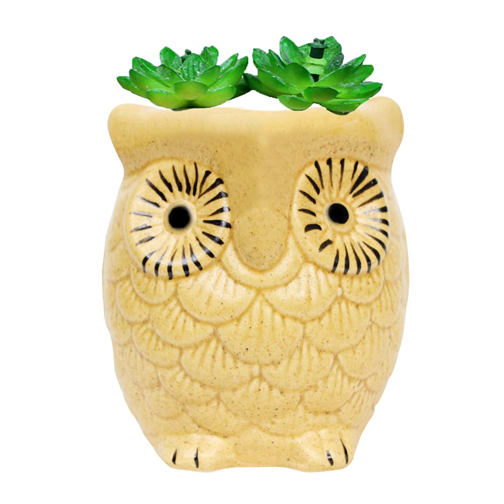 Wonderland Ceramic New Owl pots for Small Plants (White) (B09BZPFQ3B) Amazon Price History, Amazon Price Tracker