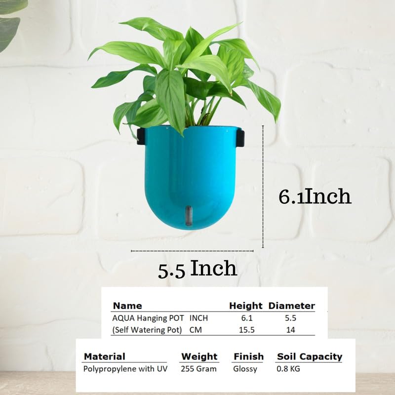 Image of Indian Discovery Self Watering Wall Hanging Planter|Hanging /Hooked Flower Pots for Home, Balcony, Vertical Garden Decor Flower Pots(2 PC, Sea Green, Sphere)|6 Inch UV-Resistant Plastic Plant Pots