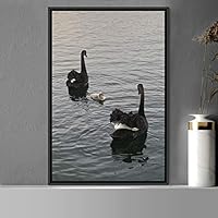 Framed Canvas Wall Art Group of Birds Beach Birds Expressive Group Multicolor Photography - 16x24 inches