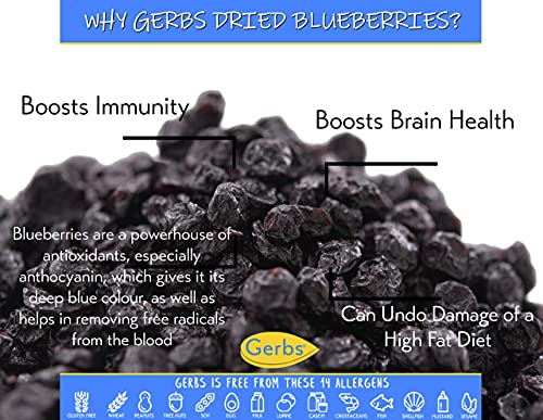 Gerbs Banana-Berry Sampler Bundle, 1.75 Total Pounds (Sweetened Banana Chips & Dried Blueberries) Top 14 Food Allergen Free, Non Gmo, Kosher, Made In Rhode Island #TOP4
