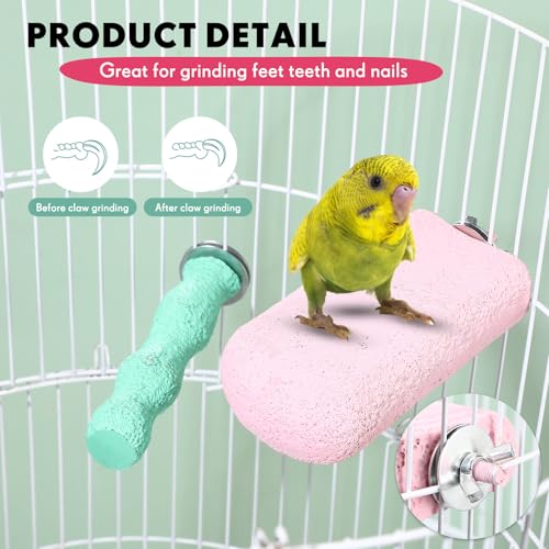 Image of Soulchen 4 Pcs Bird Beak Grinding Calcium Stone Perches Large 4.8 Inch Parrot Teeth Mouth Molar Cage Platform Paw Grinding Sticks Jumping Stand for Macaws Parakeets Finches Cockatiel(Green,Pink)