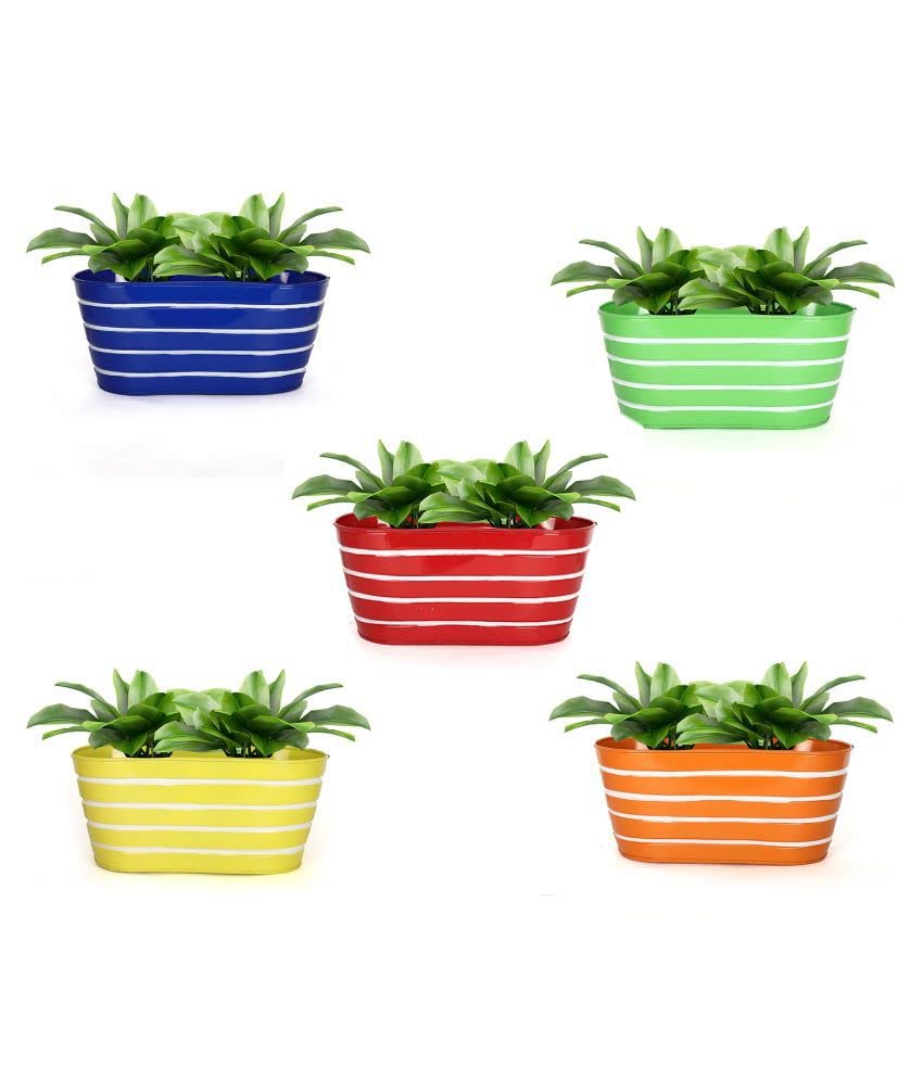 INSHREYS Oval Shape Ribbed Print Metal Iron Wall Hanging Flower Pots, Colorful Bucket with Detachable Hooks for Railing Fence Balcony Indoor & Outdoor Garden Home Decoration (Pack 5 Multicolour)