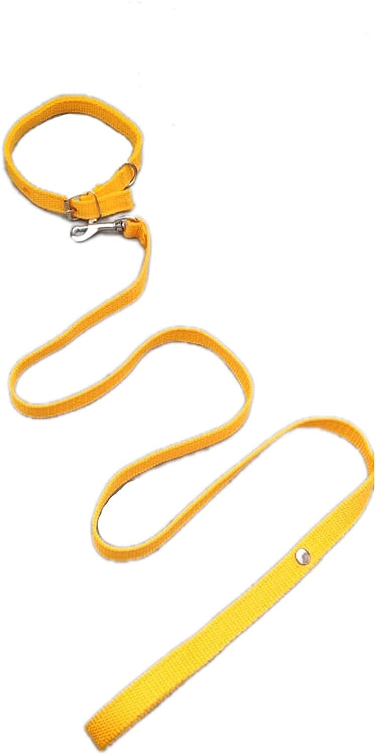 Toms PET MALL 1/2 INCH Yellow Designed Belt for Your Puppy, Cat & Small Dog Collar Belt, Dog Collar & Leash (B09W68LZZ2) Amazon Price History, Amazon Price Tracker