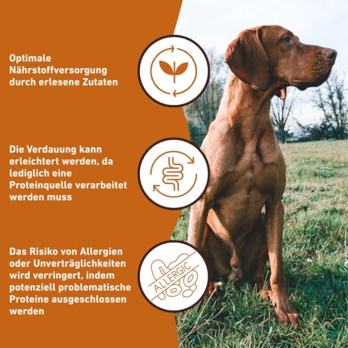 Wildfang® Premium Hunde-Nassfutter I Monoprotein I getreidefrei I B.A.R.F Qualität (Rind pur, 6 x 800g)