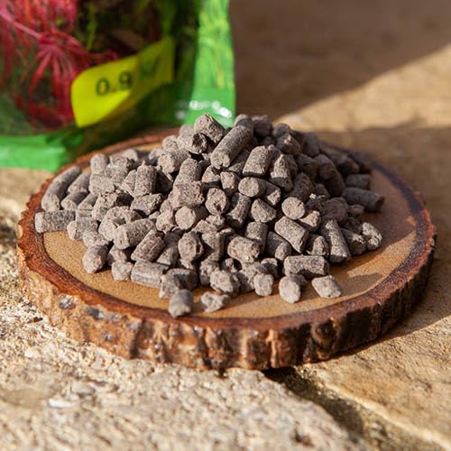 Vitax Acer Feed 0.9kg – Specialist Fertiliser for Japanese Maples & Acers – Promotes Vibrant Foliage, Strong Root Growth & Seasonal Health – Slow-Release Nutrients for Containers & Borders