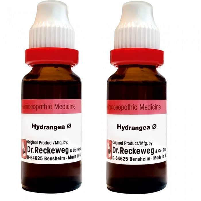Sponsored Ad - Dr Reckeweg Hydrangea Q (20ml) (PACK OF 2)