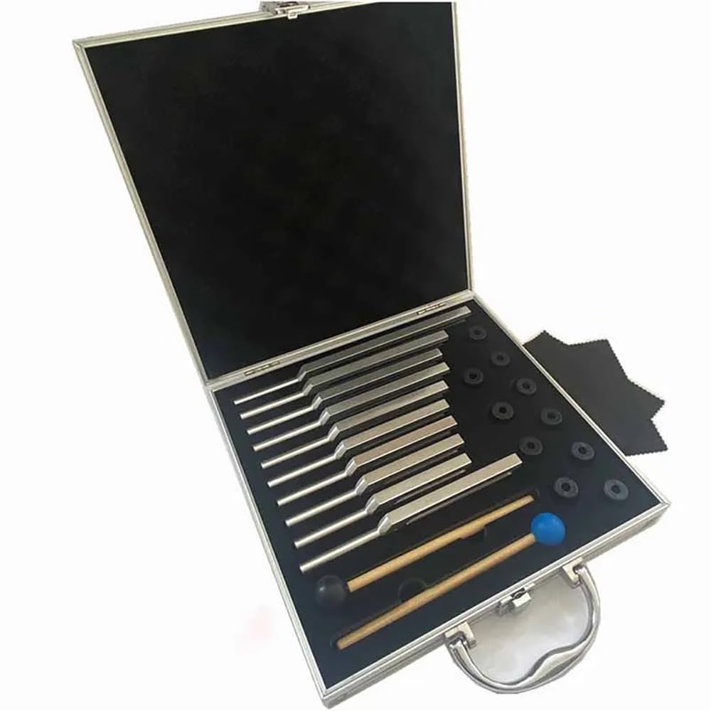 NEWFUN Diapason,Diapason Neurologico,Set di 10 pezzi con base + 2 martelli in silicone e panno per la pulizia, ideale per la terapia, per la terapia dei chakra, la terapia del suono, l'antistress
