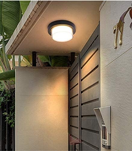 Image of blissbells Modern Round LED Ceiling Light | Black & White Flush Mount Light for Bedroom, Bathroom, Living Room & Home Decor