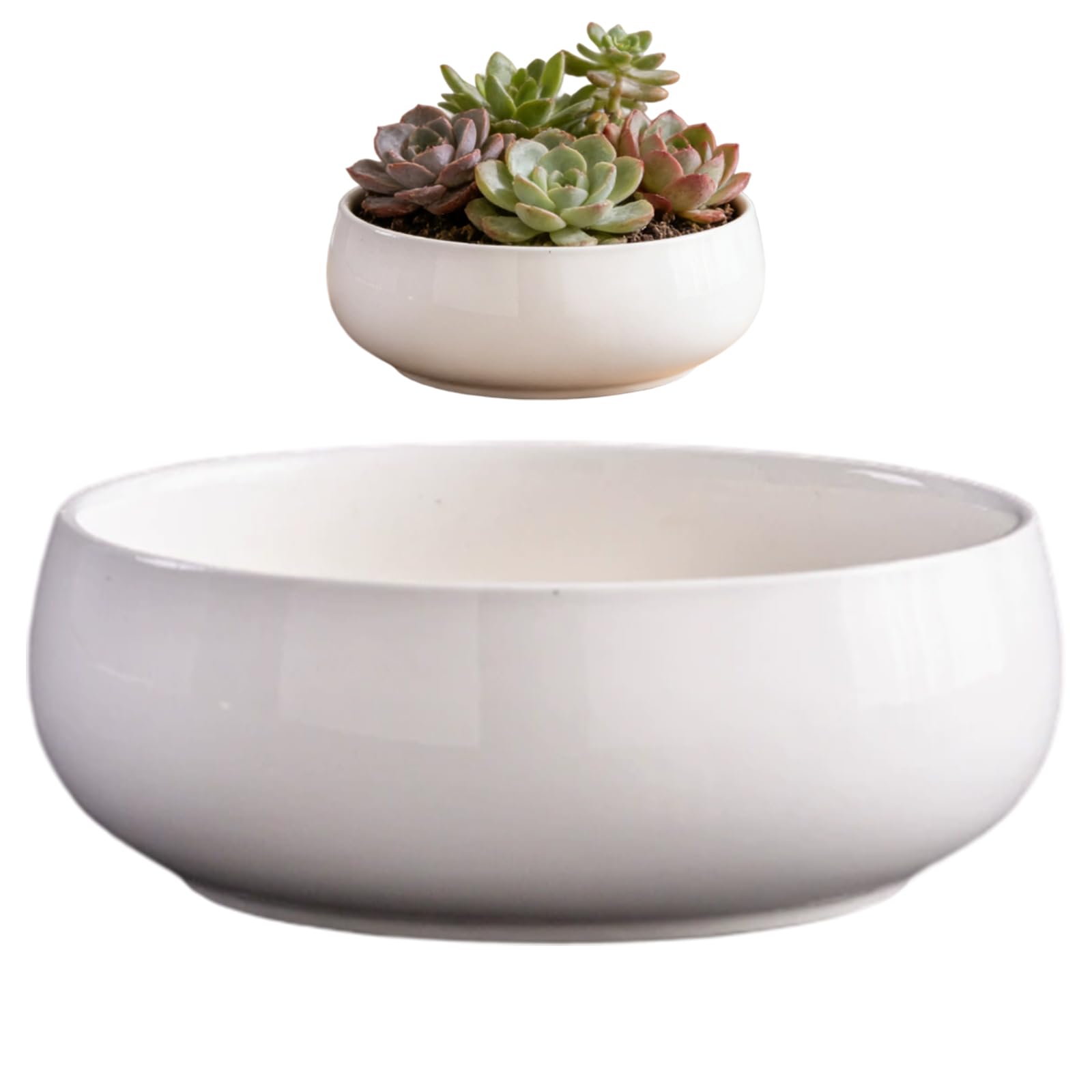 Bemonew White Lotus Bowl Planter Lotus Bowl, 6.5 Inch Ceramic Planter Minimalist Shallow Flower Pot For Indoor Outdoor Home Decor,
