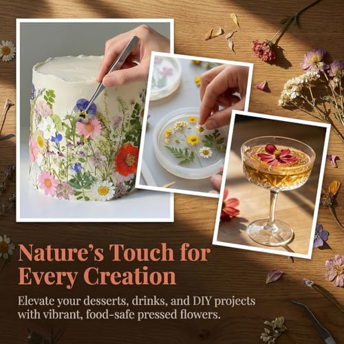 Natural Real Dried Pressed Mix Flower Leaf, 48 piezas miniatura 3