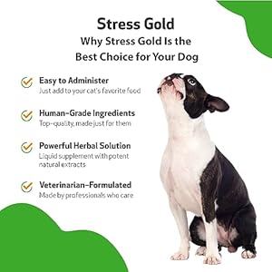   Pet-Wellbeing-Stress-Gold-for-Dogs-Vet-Formulated-Calming-and-Relaxing-Support-for-High-Stress-Situations-Natural-Herbal-Supplement-2-oz-59-ml