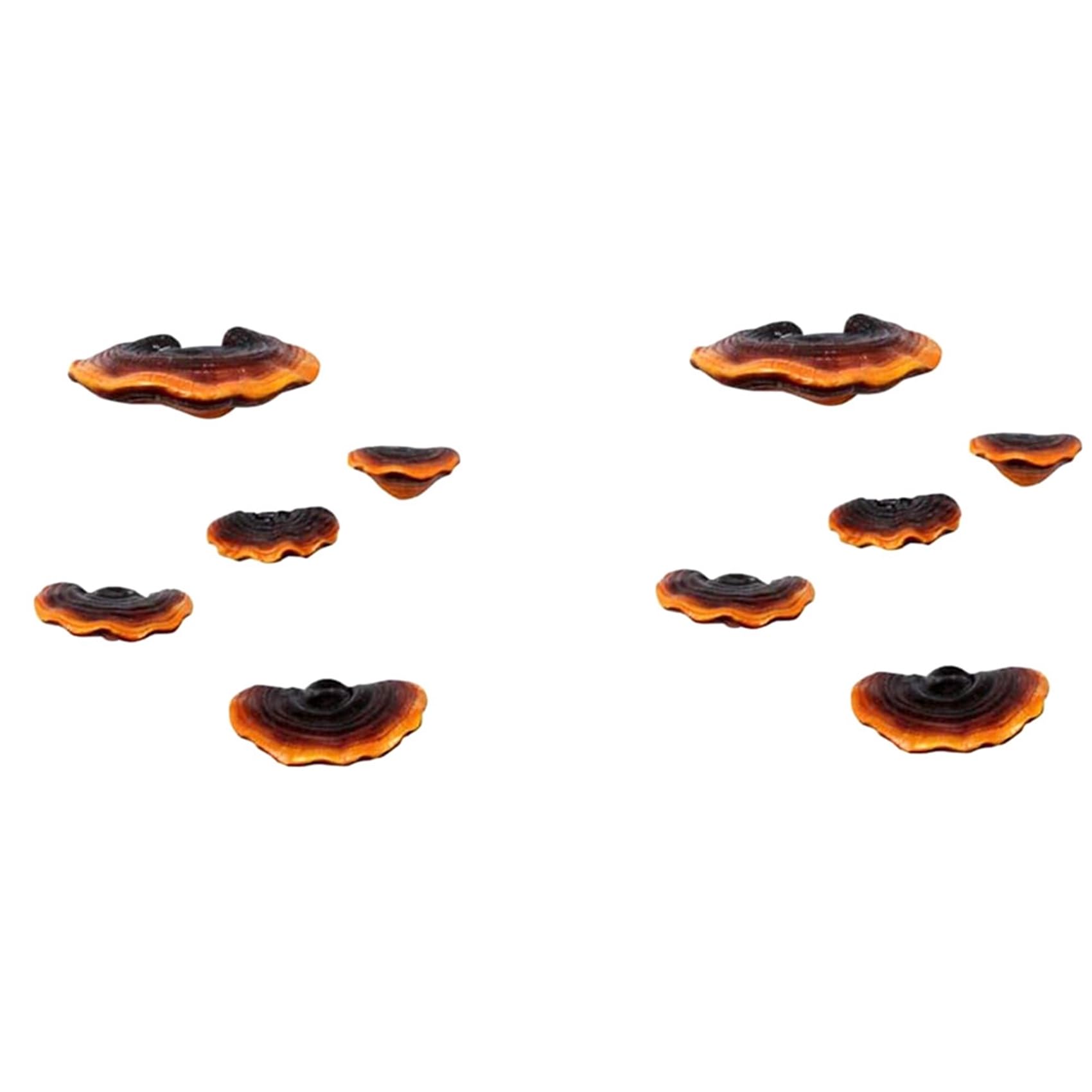 Étagère champignon murale en lot de 10 mini supports d'angle en résine