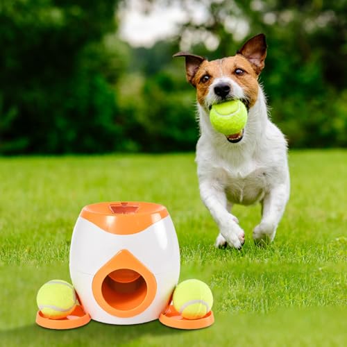 Hundespielzeug Intelligenz, Dog Activity Strategie-Spiel Memory Trainer Ball & Treat, Interaktives Spielzeug für Hunde, Anspruchsvolles Intelligenzspielzeug für Hunde zur Beschäftigung (B)