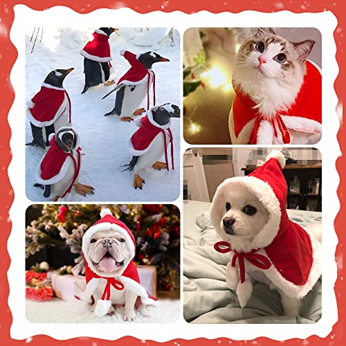 Pet Christmas Costume Cat Dog Poncho Cape with Hat Santa Claus Cloak for Cats and Small Dogs Red Winter Outwear Funny Christmas Pet Dress Up Soft and Thick Red Velvet Apparel for Cats (Medium) - Thumbnail 6