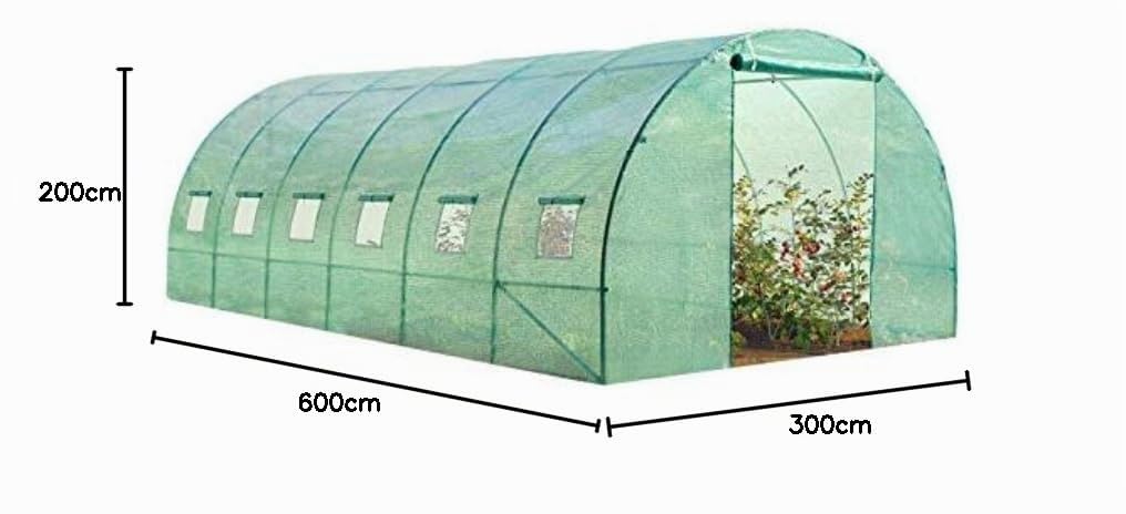 Probache - Telo di ricambio per serra da giardino, a tunnel, 6 x 3 x 2 m