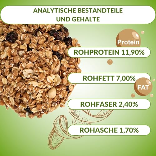 Fettfutter Vogelfutter für Wildvögel – Ganzjähriges Mischfutter mit hohem Fettgehalt, ideales Streufutter für 4 Jahreszeiten (25 kg)