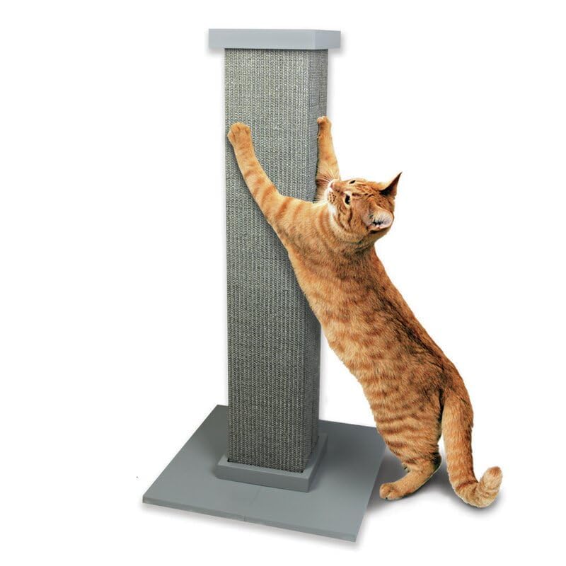 TAWOODENSTORE Durable Grey 50 cm MDF Wood & Cotton Cat Scratcher Tower for Ultimate Feline Comfort Elevate Your Feline Comfort with This Sturdy Grey 50 cm MDF Wood and Cotton Cat Scratcher Tower (B0DF55MQ2X) Amazon Price History, Amazon Price Tracker