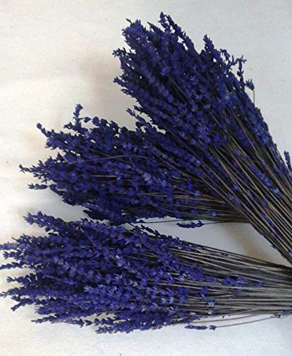 flores frescas online Ramos Lavanda Natural Preservada 3 Unidades Portes Gratis