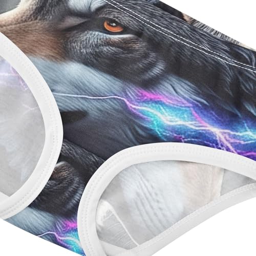 Cool Wolf Toddler Girls Underwear 2t Cotton Little Girl Panties Bright Briefs Undies Kids4