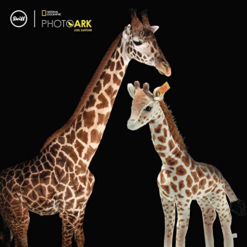Steiff Kuscheltier Massai Giraffe Magda, National Geographic Wildtier, Süßes Stofftier, Jungen, Mädchen & Babys ab 0… – Bild 5