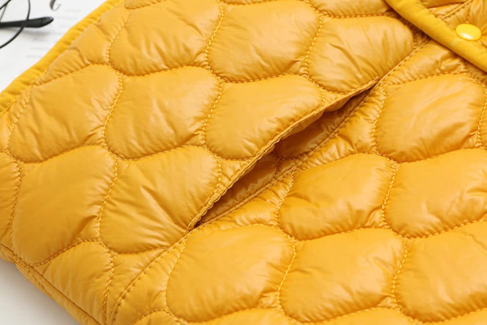 Doudoune Femme Sans Manches,Gilet Matelassé Femme Plus Velours Rose Veste Courte Sans Manches Steppweste Gilet Élégant Manteau Sans Manches Hiver Chaud Femmes Gilet À L'Intérieur Porter Accueil