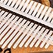 ROARINGWILD Carlimba Thumb Piano 17-Tone Beginner Finger Piano Kalimba Portable Piano Musical Instrument Accessories (Blue)