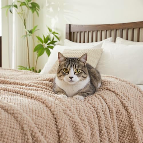 Image of EMME Fleece Blanket, 3D Jacquard Throw Blanket for Couch and Bed, Soft Cozy and Fluffy Blankets Lightweight Luxury Flannel with Waffle Design (Beige, 80 inch x 90 inch)