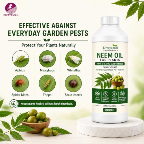 Image of Divayanshi Neem Oil for Plants | 100% Organic Cold Pressed Concentrate | Natural Insecticide & Pest Control Spray for Indoor & Outdoor Plants | Controls Aphids, Mealybugs & Fungal Issues-250ml
