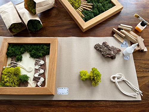 Cuadro de musgo islandés Kit DIY con marco de roble macizo artesanal 4