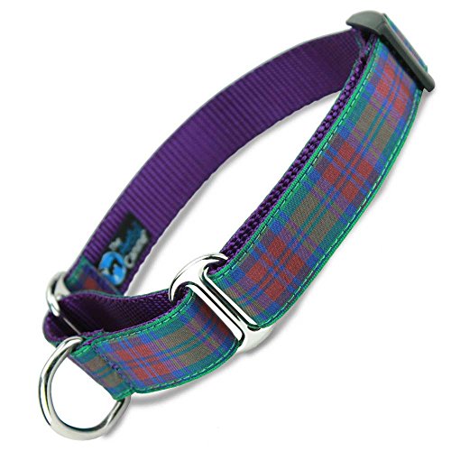 The Artful Canine Martingale Dog Collar, Lindsay Plaid, Large Dogs 35-60 lbs (Collar: 1" Wide, 13" - 20" Long)