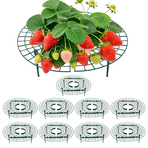 CNNIK Strawberry Plant Support 10 Pack Raised Grid Stand to Keep Strawberries Off the Ground Strawberry Holder for Garden Beds Raised Planters & Pots (Round)