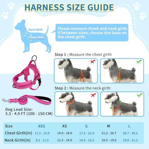 SlowTon No Pull Small Dog Harness and Leash Set, Puppy Soft Vest Harness Neck & Chest Adjustable, Reflective Lightweight Harness & Anti-Twist Pet Lead Combo for Small Medium Dogs (Fuchsia, XXS) - Image 6