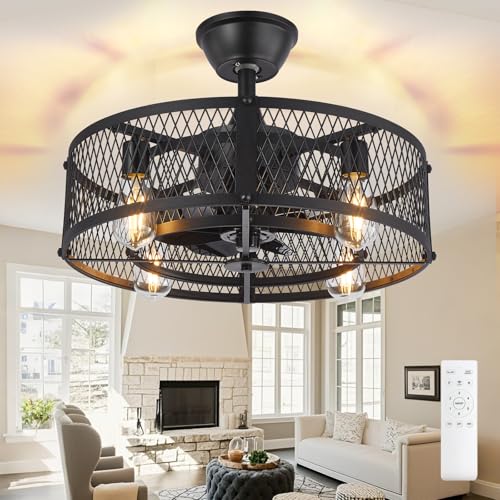 DLLT Caged Ceiling Fan with Light: 20' Farmhouse Fandelier with Lights and Remote Control - Black...