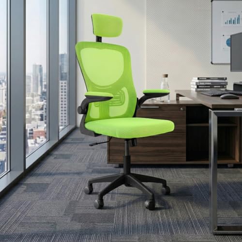 Image of Casa Copenhagen Green Black| High Back Imported Mesh Fabric Boss Office Chair | Y Design Ergonomic Back Support | 2D Aero Design Adjustable Armrests | Synchro Tilt Lock Mechanism Support
