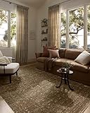 Loloi Haywood Collection HYD-01 Sage/Brown 11'-6