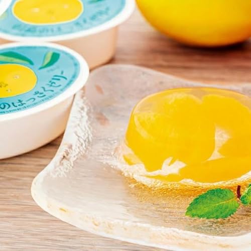 因島のはっさくゼリー72個入り