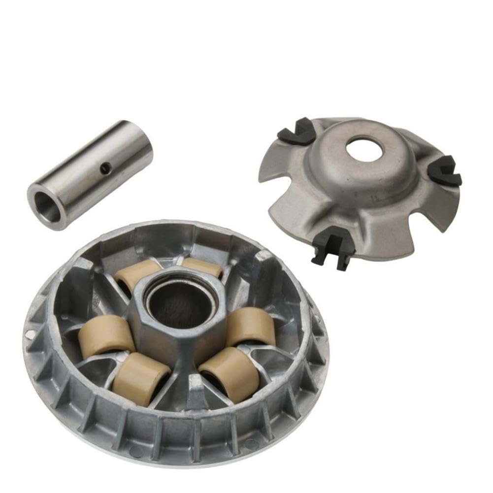Hoping Juego de Rodillos variadores de 18,2 g de Peso Compatible con Arctic 250 2x4 DVX 250 CC ATV de 4 Tiempos