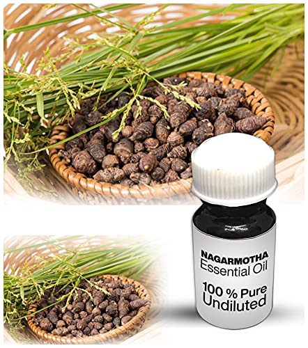 Huile essentielle de Nagarmotha 100 % pure et non diluée 25 ml