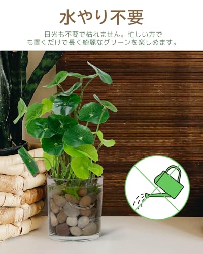 WillingYou 造花 観葉植物 水耕風 ガラスコップ入り 3点セット インテリアグリーン フェイクグリーン 卓上 観葉植物 おしゃれ 玄関 リビング オフィス 飾り 手入れ不要 ギフト対応 ワンオーダーで複数装飾 [4]