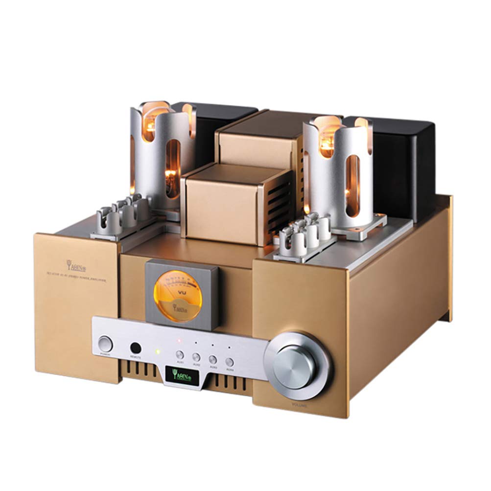 Buy YAQIN MS650B 845 Vacuum Tube Power Amplifier 15W × 15W Tube