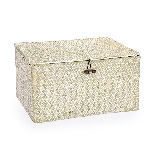 Hipiwe Canastas de mimbre con tapa, cesta grande de junco marino natural, tejidas a mano, rectangulares, para el hogar, para estantes, armarios, organizador y decoración del hogar, color blanco