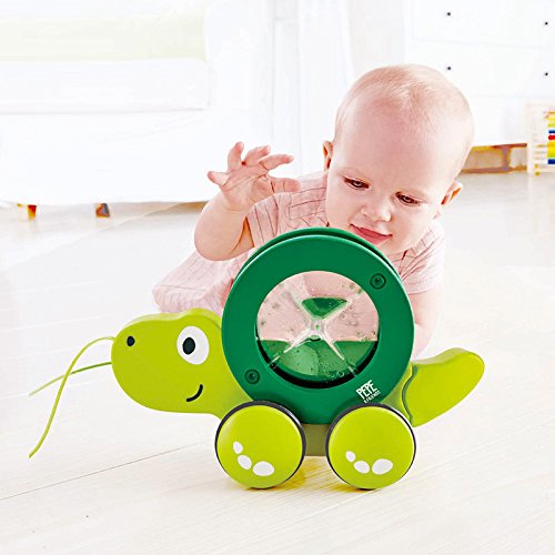 Hape Tito Pull Along | Wooden Turtle With Swirling Shell Pull Toddler Toy, Green #TOP6