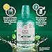 GuruNanda Fresh Breath Mouthwash, ADA-Accepted, Alcohol & Fluoride-Free, Sodium Chlorite, Essential Oils & Vitamins, 12-Hrs Fresh Breath, Wild Mint, 3 oz